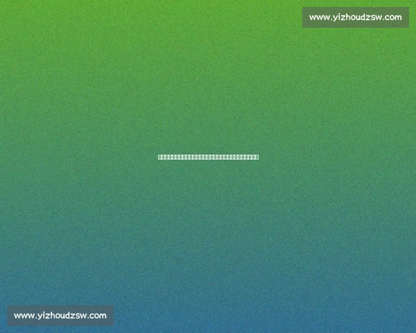 苏亚雷斯执教困境折射中国足球病：外援依赖与青训断层双重危机